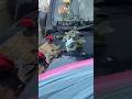 Decorated Thar wedding decoration for thar full middle class power #edits #shortvideo #genzpower