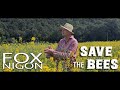 Save the bees  fox nigon official