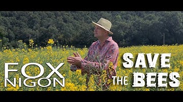 Save the bees - Fox Nigon (official video)