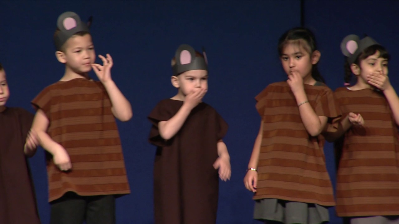 Redwood Primary School Celebration of Dance 2017