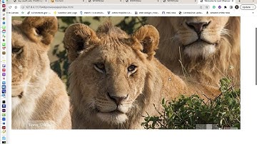 Wow Slider Image Gallery Tutorial