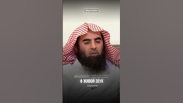 سوره ال عمران الشيخ محمد اللحيدان #القرآن_الكريم #قران #محمد_اللحيدان #سورة_آل_عمران