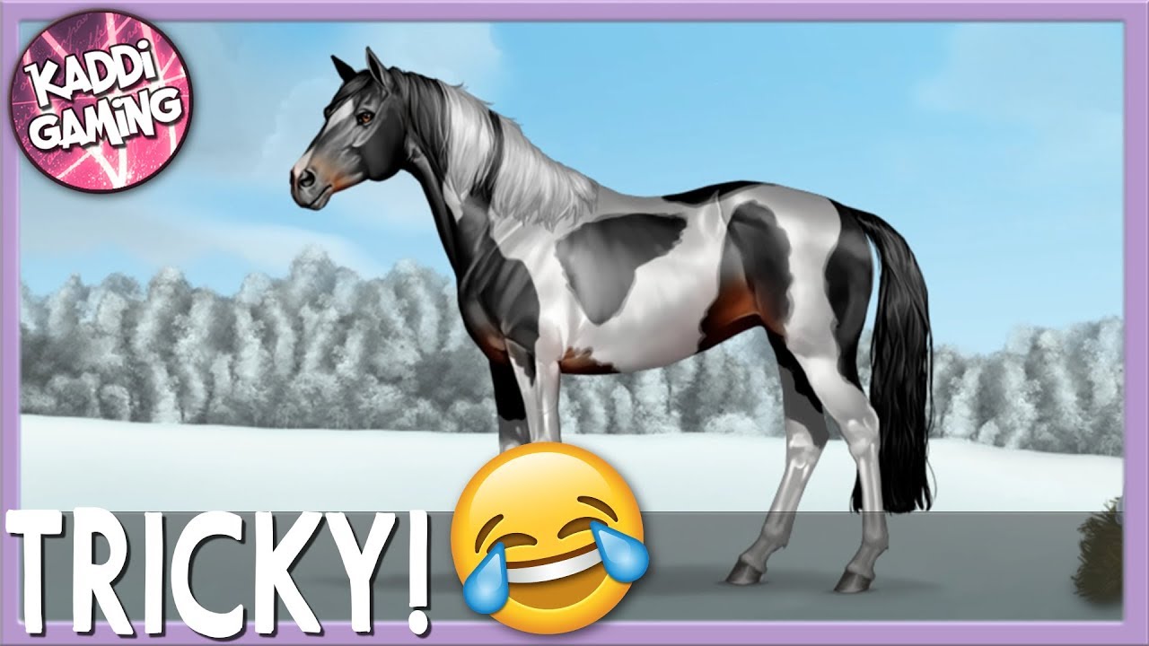 Aller Anfang ist schwer 🐎 Morning Dust Ranch #02 - YouTube