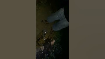 dính tra hugo ae ơi #câu cá hóc môn