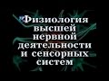 Физиология высшей нервной деятельности и сенсорных систем