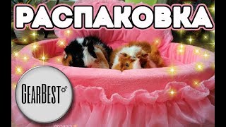 РАСПАКОВКА ПОСЫЛКИ ОТ МАГАЗИНА GearBest. ОГРОМНАЯ РОЗОВАЯ КРОВАТЬ ДЛЯ МОРСКИХ СВИНОК. РАСПАКОВКА ПОСЫЛКИ ОТ МАГАЗИНА GearBest. ОГРОМНАЯ РОЗОВАЯ КРОВАТЬ ДЛЯ МОРСКИХ СВИНОК.