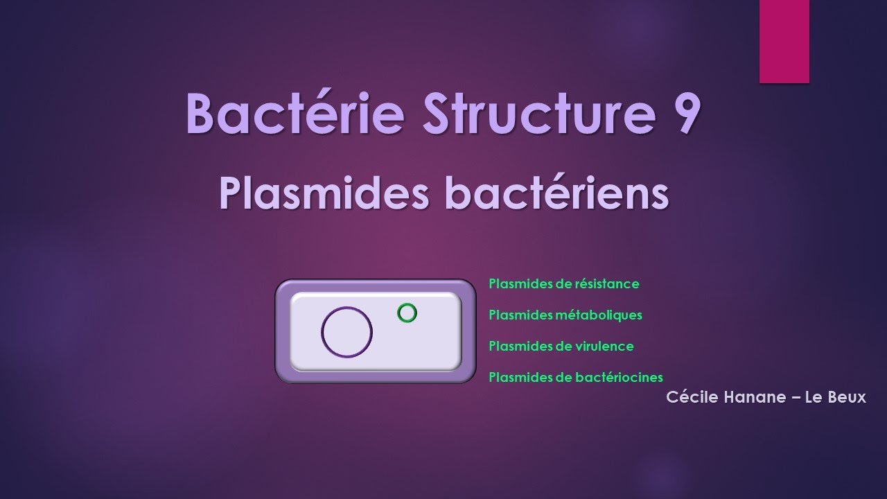 Bactérie Structure 9 MATERIEL GENETIQUE / PLASMIDES sans musique de fond.