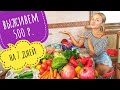 КАК ПРОЖИТЬ НЕДЕЛЮ НА 500 РУБЛЕЙ на человека