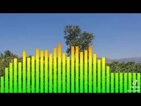 የሆደን ያጀቴን ቡሶቴማ አወቆ Funny Duet Love