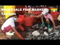 The Wholesale Fish Market of Yangon / San Pya Wholesale Fish Market 🇲🇲