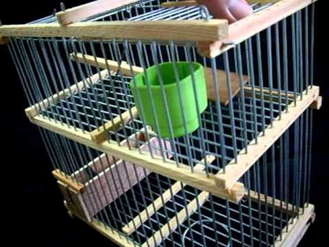 Cage Piège à Glissière a vendre/For Slae - YouTube Cage Piège à Glissière a vendre/For Slae - YouTube