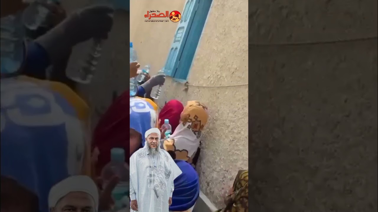 شيخ البصاق محمد الددو #حسن_المدني #اكسبلور #العظماء