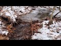 Removing Log Jam Draining Backup