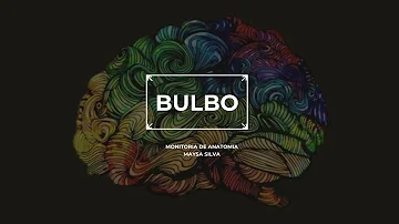 O que é uma substância cinzenta núcleo própria do bulbo?