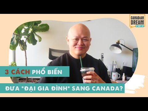 Video: Nơi nào tốt nhất để bảo lãnh một đứa trẻ?