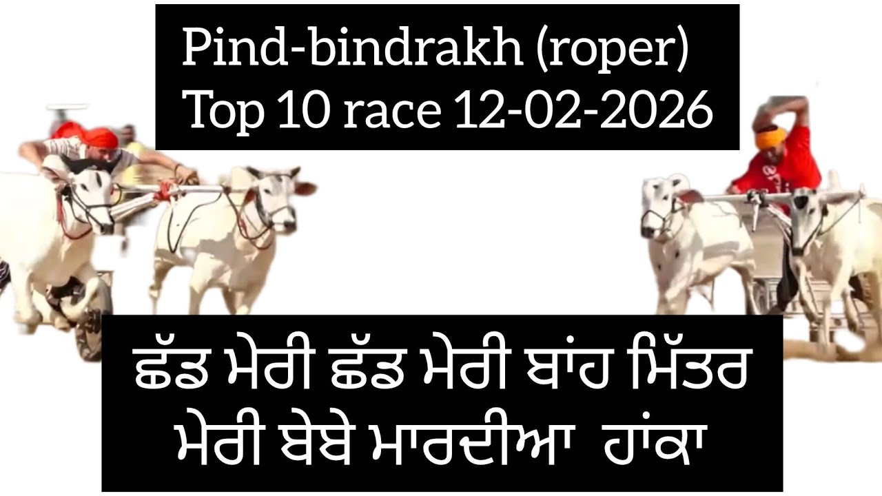 Ox race Pind-bindrakh (roper) Top 10. 12-02-2026 #oxracepunjab 