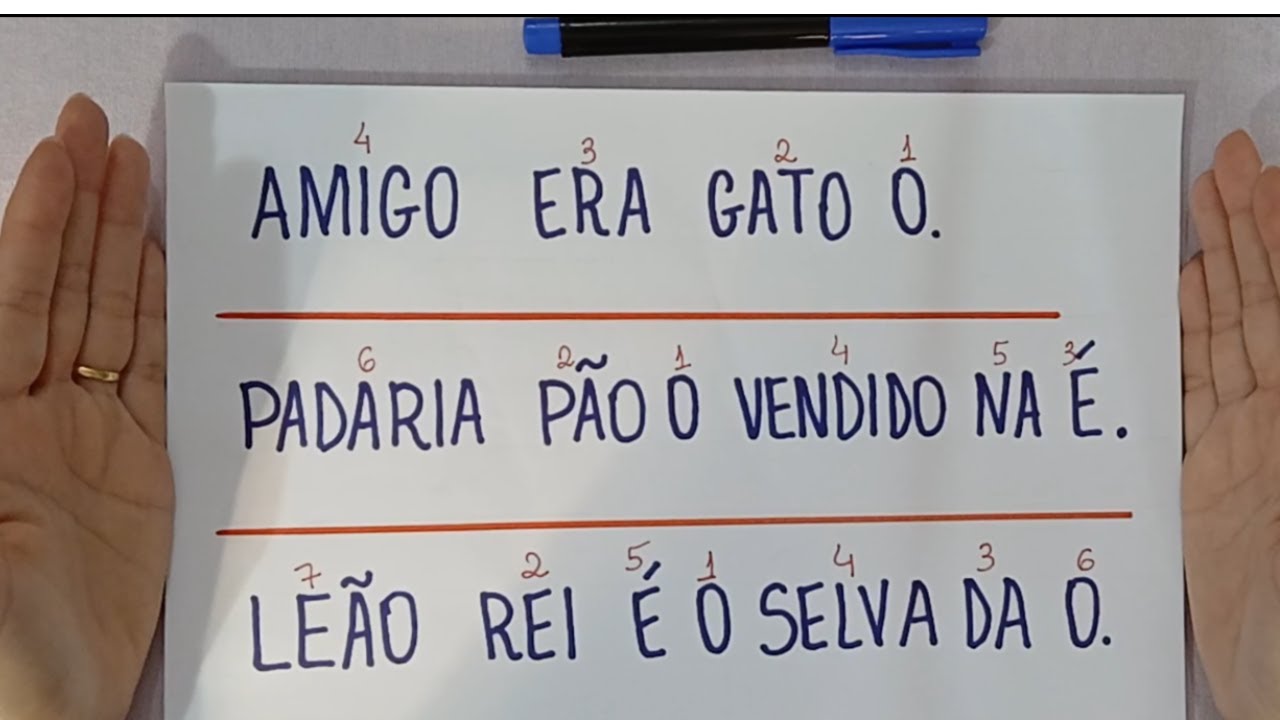 Aprendendo a Ler e Escrever -  Ordene as palavras e forme frases - Lendo e Escrevendo frases - EJA