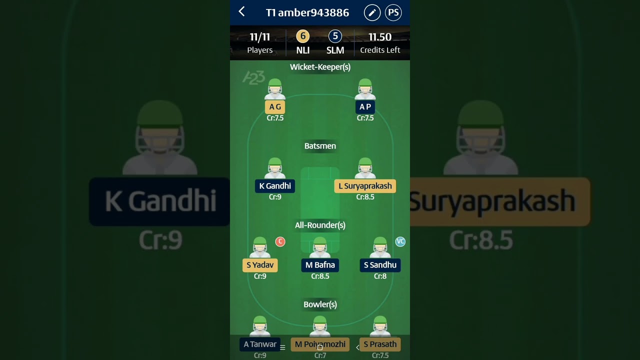 Predicted tnpl playing 11 for today match/NELLAI ROYAL KINGS vs SALEM SPARTANS.