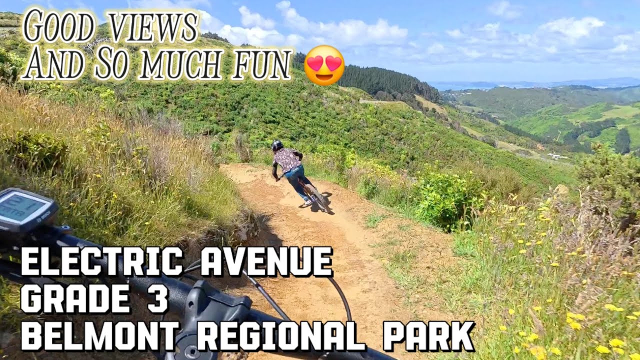 Electric Avenue is so FUN! | Belmont Regional Park, Wellington, New Zealand
