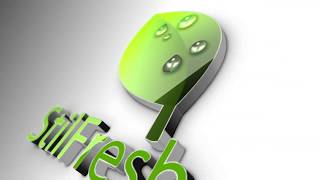 Standard Trading Terms and Conditions and carriage of goods by road in South Afr