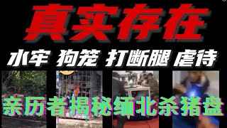 凤凰网:缅北杀猪盘屠夫揭秘杀猪细节
