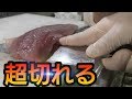 かねこが持つ最強の包丁で捌く!『ツバス、ホウボウのさばき方』【157本目】