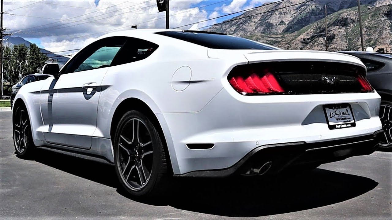 2020 Ford Mustang Premium Is This The Best Daily Driver Mustang