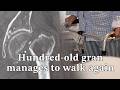 103-Year-Old Recovers From Hip Surgery, Setting A New Age Record in Shanghai
