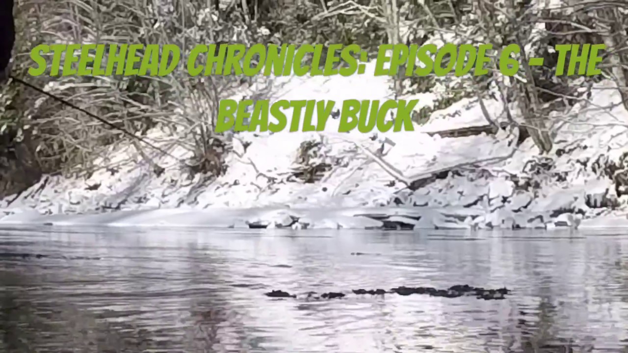 MASSIVE Winter Steelhead on the FLY (INTENSE) - Skeena Watershed