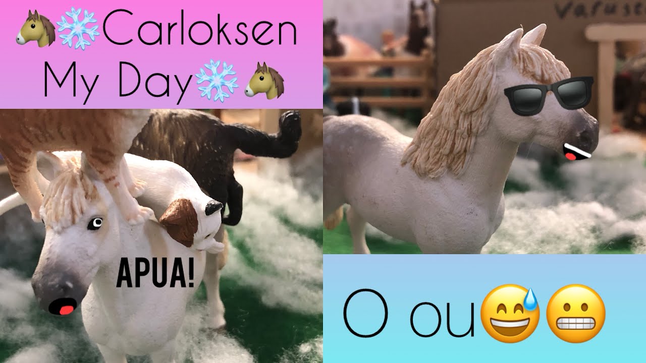 Carloksen My Day😍🐴❄️ @schleichtallirambo 