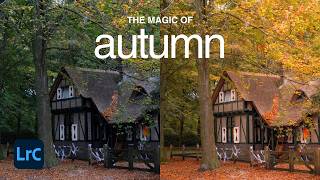 How to edit beautiful autumn photos in Lightroom