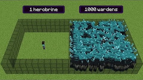1000 wardens vs 1 herobrine (but herobrine has all effects)