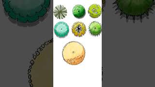 trees top view #landscaping #gardendesign #tree #render