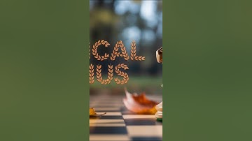 How One Historic Chess Move Changed the Game Forever