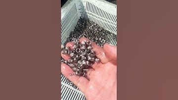 All kinds of nuts are in production #fasteners #customized #factory