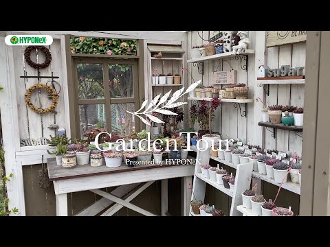 多肉植物棚　GAI-W70G 楽天市場】植物ラック 植物棚 プランターラック ボタニカル