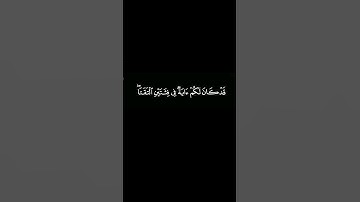 قد كان لكم اية في فئتين التقتا |كروما قرآن كريم | القارئ #ياسر_الدوسري سورة آل عمران. #كرومات_قرآن