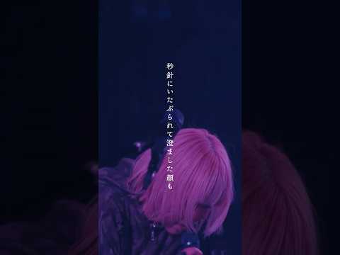 フィクサー・イン・グレイ at Shibuya CLUB QUATTRO