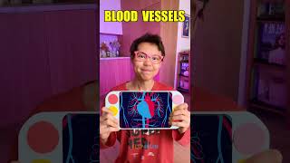 WHAT'S INSIDE US? — Tap-Tap 🔍✨ Fun Body Learning Time #shorts #kids