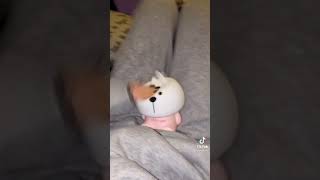 Tavşik Yırtmıştı Bende Yenisini Aldım