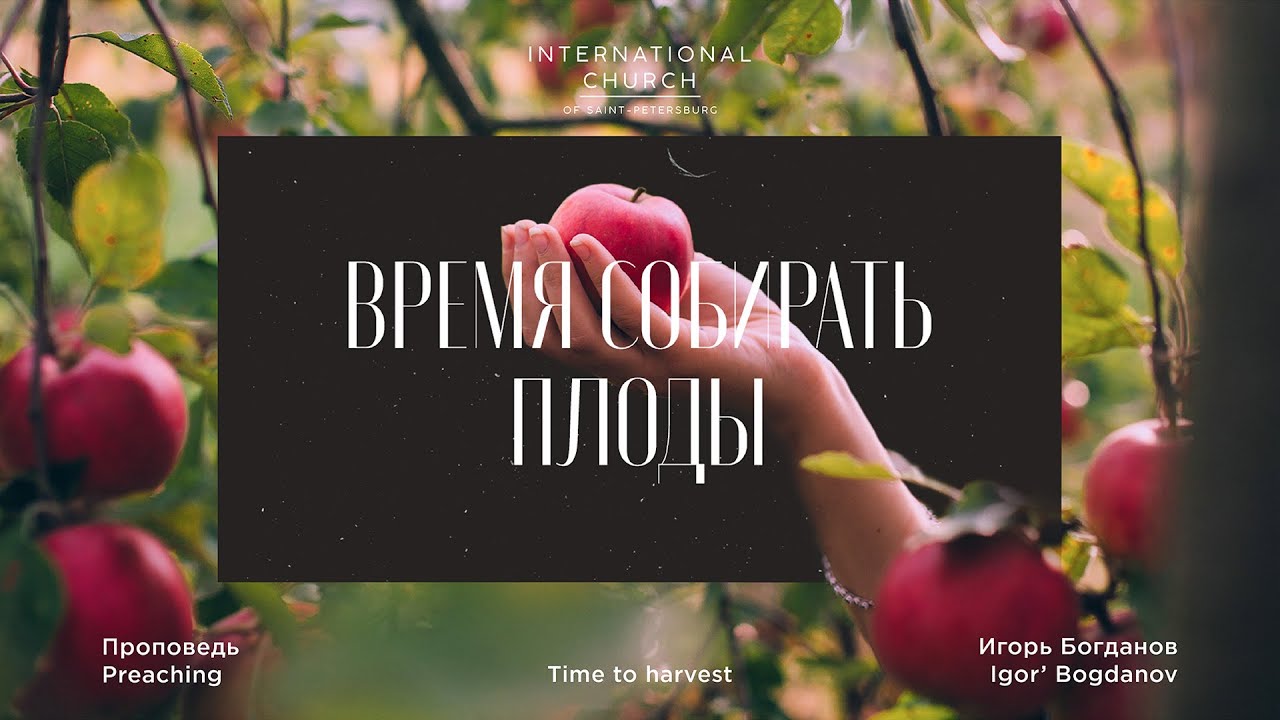 «Время собирать плоды» — Игорь Богданов / "Time to hervest" — Igor Bogdnov