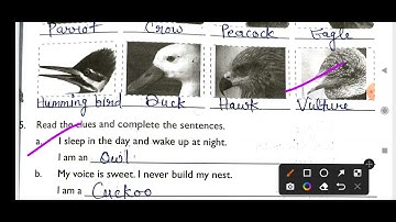 EVS Workbook/Class 3 Chapter 8 Flying High