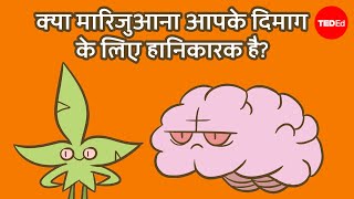 क्या मारिजुआना आपके दिमाग के लिए हानिकारक है? - Anees Bahji