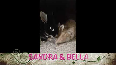 Sandra and Bella Valentine's Day