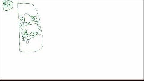 8.6 Counting Principles (sample problems)