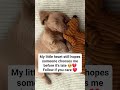 My little heart still hopes someone chooses me before it’s late 💔#lastchancepawsrescue