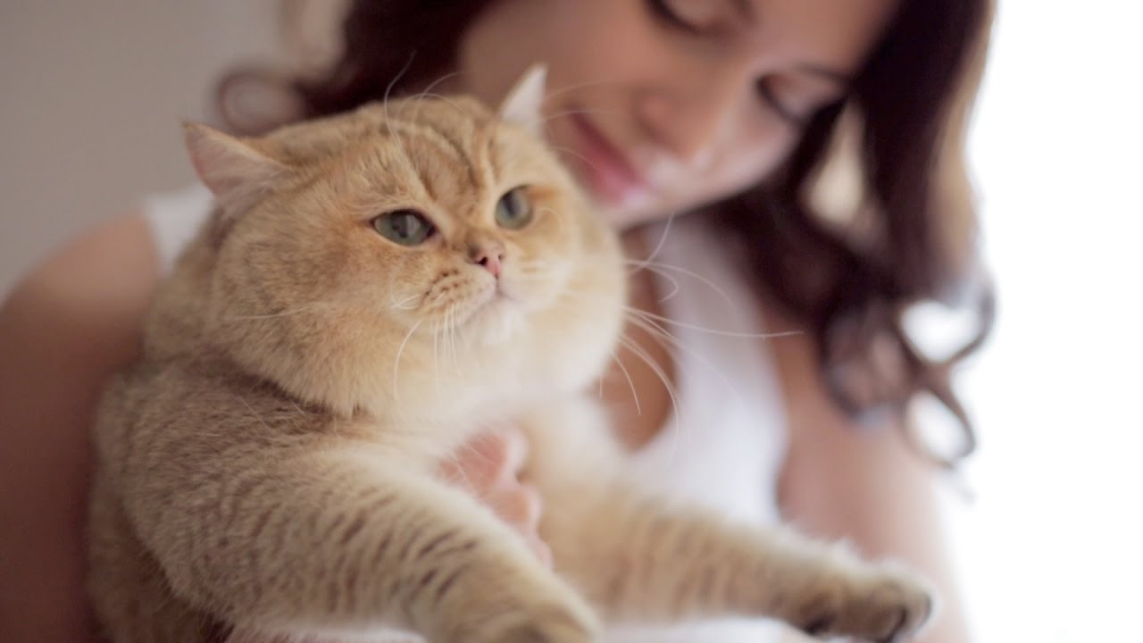 Открой себя новую с FreeForm