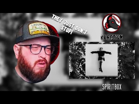They Boxed my Spirit in Spiritbox - No Loss, No Love (Official Music Video) Reaction!
