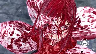 How an Intoner Regenerates | Drakengard 3