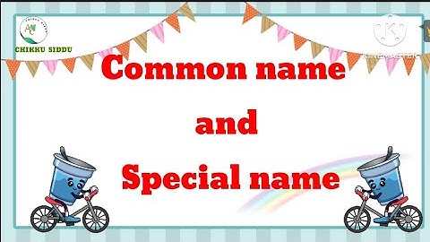 Common name and Special names|  Common noun and Proper noun